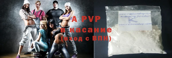 стаф Арсеньев