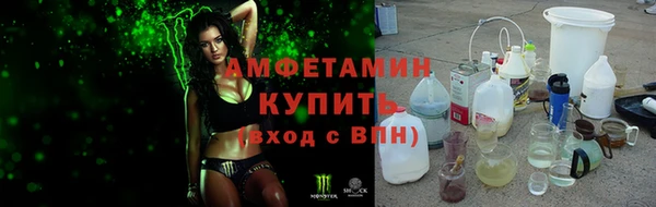 стаф Арсеньев