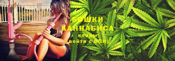 стаф Арсеньев